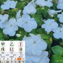 용신32 이미지