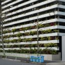 스시헤이 이미지