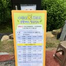 수정산가족체육공원 3(주차장) 이미지