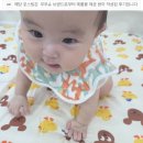 어린이집 낮잠이불 고민 끝! 일체형이라 더편했던 아기이불 무무슈 후기