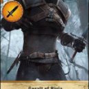 Gwent Card List 이미지