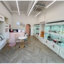 마마스미독 강아지 분양 김해점 이미지