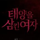 태양그릇 이미지