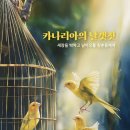 카나리아