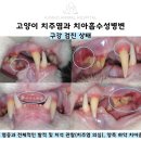 금호동물병원 이미지