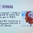 허브앤다이어트