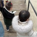 영스팜 이미지