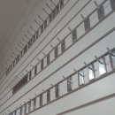 팍스바이시클