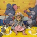 [4차시] 풀잎아이 오감놀이 "생쥐와 치즈!" 8개월 여아 후기 in 홈플러스 화성향남