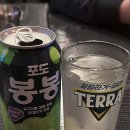 101호주인 이미지