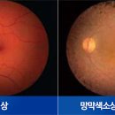 안경제작소 이미지