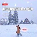 장수양봉원 | 나고야 근교 당일치기 ‘시라카와고 버스투어’ 내돈내산 후기 | 다카야마 포함