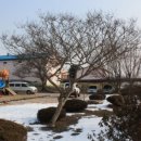 이화초교 이미지