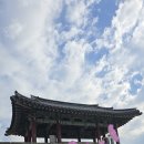 해미종합시장 | 서산여행] 코스모스가 반겨주는 해미읍성축제 [24.10.03]