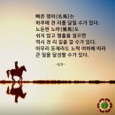 고마운것들. 쌀뜨물. 퀴라소를 아시나요? 이미지