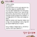 [호주로그] 호주 | 𝐒𝐲𝐝𝐧𝐞𝐲 𝐃𝐚𝐲 𝟏 🇦🇺 (대한항공/한국에서 시드니로/Single O/오페라하우스/하버브릿지...