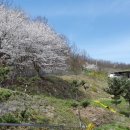 소보농장 이미지