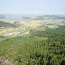 서산산성 Daum카페