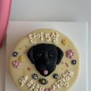 퍼피케크 이미지