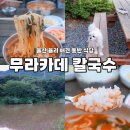 댕댕이와 냥냥이 울산장현점 | 울산 율리 애견 동반 식당 무라카데 칼국수