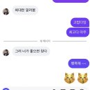 댕댕박사 | 8월은 뜨거워
