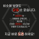 점핑머신 - 구미시 상사서로 75 | 점핑머신