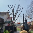 피오르디 젤라또 | 안면도 피오르디젤라또 카페 후기(ft.안면도 여행)