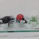 (주)엔에스푸드 이미지