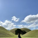 NR-7[원화로]-상-470 | 🇰🇷경주 여행🧳 1박 2일 ①