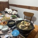 삼국식당 | 경주 애견동반식당 로컬들만 아는 진짜 강아지동반 맛집 삼국식당