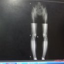 휴짐나지움 이미지