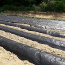 앙성면사무소 이미지