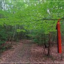 노을숲제주 이미지