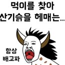 제주돈선생 상봉직영점 이미지