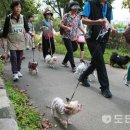또하나의가족 이미지