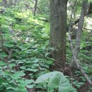 대로농장 이미지