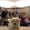 의수농장 | 2024 부처님 오신 날/ 연등회 후기 (깨닫다! 티셔츠, 임종 체험, 인터뷰왕, 출가 상담 그리고 뉴진스님)