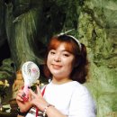 닥터코르셋