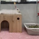 특별한 동물가게 광주점 네이버블로그