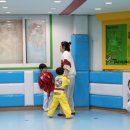용인대태권도장 이미지