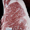 지제목장 이미지