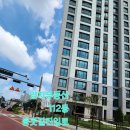 수정-111 이미지