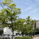 유부야2 이미지