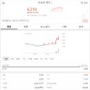 태영인터내셔널