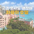 호텔알로하 | 하와이호텔 : 로얄하와이안,카할라호텔 굿즈 비교 (머그컵,프린세스 태닝키티 국내 구매후기)