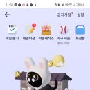 더자라다 이미지