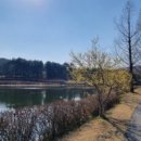 우미골맛집 이미지