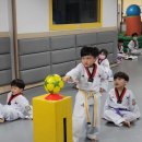 팡팡태권도장 이미지