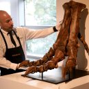 오늘 최고의 보도사진: 홍수, 산불, 티라노사우루스 렉스 발 경매 이미지