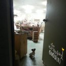 루아마켓 이미지